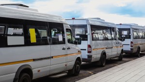 Drie witte shuttlebussen op een rij bij een OV-halte in Provincie Zuid-Holland